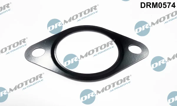 Tesneni, AGR ventil Dr.Motor Automotive DRM0574