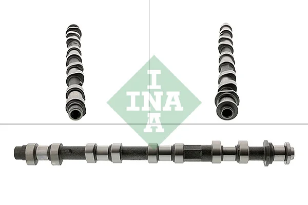 Vačkový hřídel Schaeffler INA 428019610