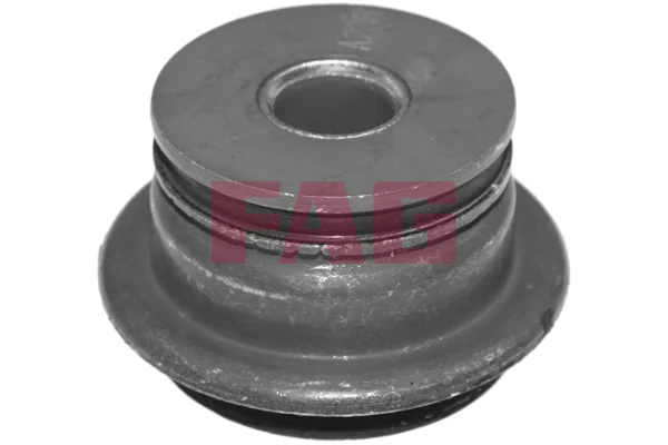 Zaveseni, telo napravy Schaeffler FAG 829048810