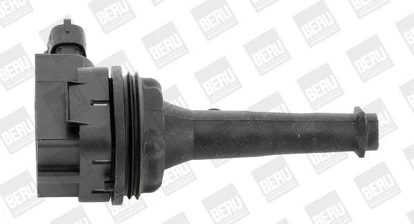 Zapalovací cívka BorgWarner ZSE019