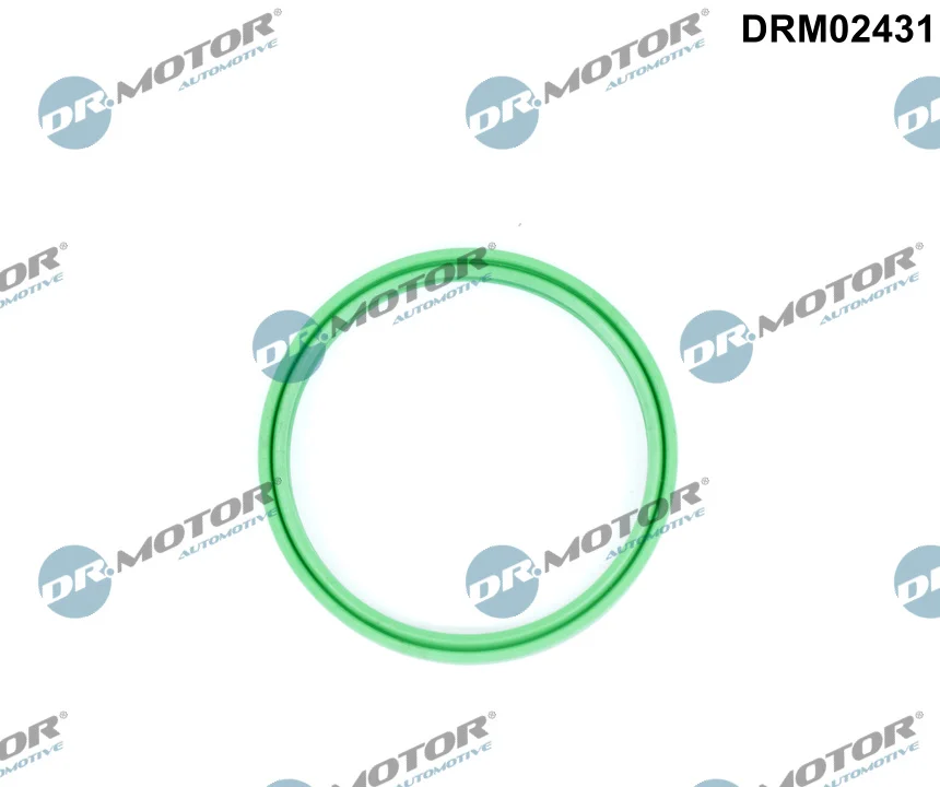 Těsnicí kroužek, hadice plnicího vzduchu Dr.Motor Automotive DRM02431