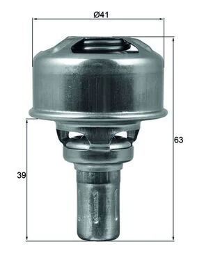 Termostat, chladivo MAHLE TX17486