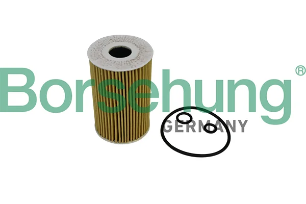Olejový filtr Borsehung B10535