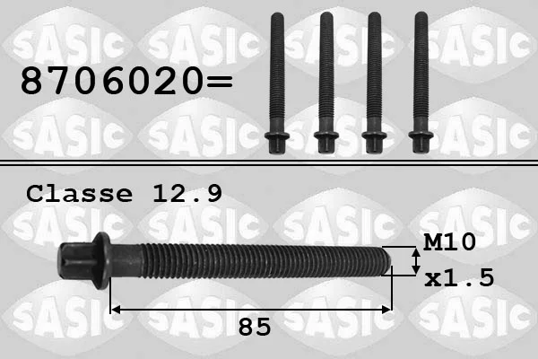 Sroub remenice SASIC 8706020 – OE 11232247932
