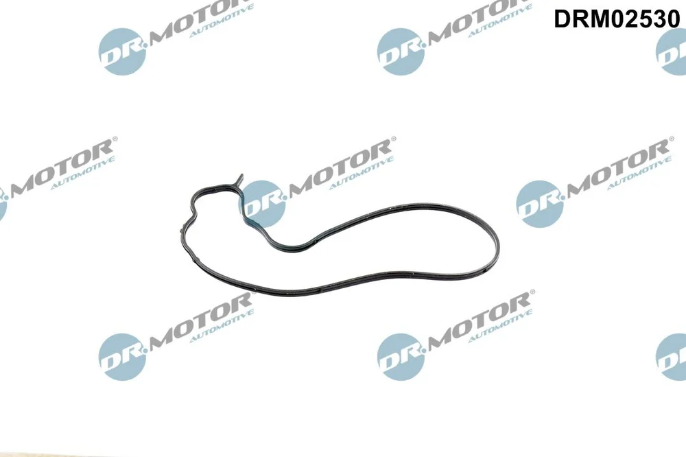 Těsnění, vodní čerpadlo Dr.Motor Automotive DRM02530