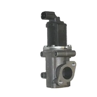 AGR-Ventil MAGNETI MARELLI 571822112004