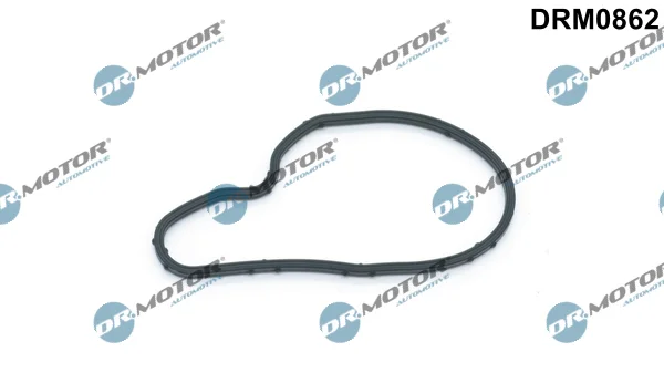 Těsnění, vakuové čerpadlo Dr.Motor Automotive DRM0862